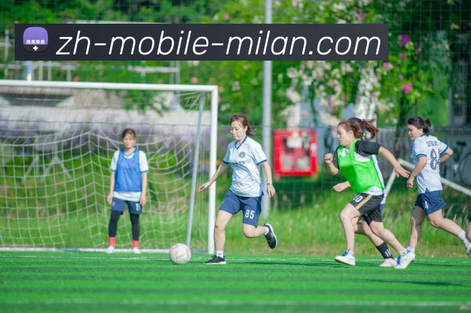 多媒体互动体验