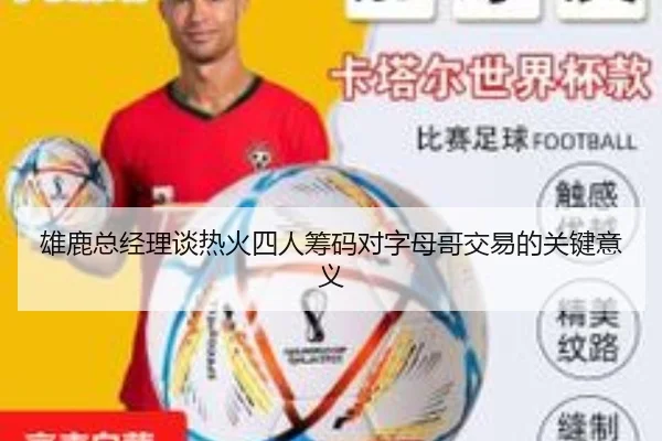 雄鹿总经理谈热火四人筹码对字母哥交易的关键意义(MILANSPORT)